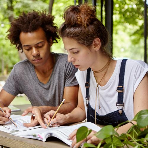 Academic Peer Mentoring Program (APMP)