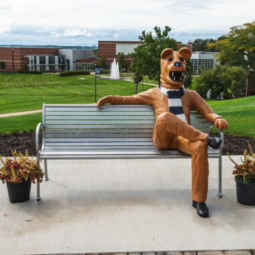 Find Academic Advising at Your College or Campus (Spring Break)
