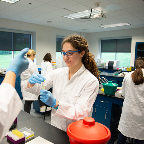 Discover Science & Medicine: Learn more about the Eberly College of Science