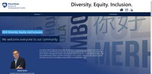 DUS Diversity webpage screenshot